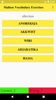 Maltese Vocabulary Exercise poster