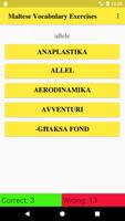 Maltese Vocabulary Exercise screenshot 1