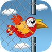 APK Free!
