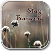 ”How To Stay Focused