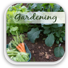 Home Vegetable Gardening Guide-icoon