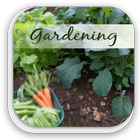 Home Vegetable Gardening Guide ไอคอน