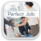 How To Get The Perfect Job icône