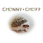 Chonny Chopp-icoon