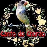 Canto do Chorão (Sporophila leucoptera) Affiche