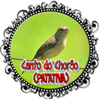 آیکون‌ O canto melancólico da Patativa-chorona
