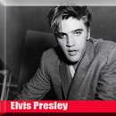 Elvis Presley - Can't Help Falling In Love lyrics APK