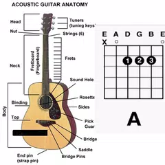 chords on guitar APK download