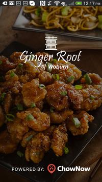 Ginger Root 海报