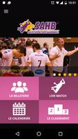 Sélestat Alsace Handball poster