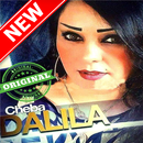 APK أغاني شابة دليلة بدون أنترنيت Cheba Dalila