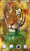 Tiger Live Wallpaper HD 4K HOT Affiche