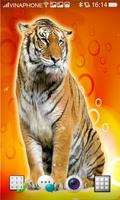 1 Schermata Tiger Live Wallpaper HD 4K HOT