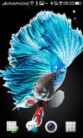 Betta Fish Wallpaper HD 4K ภาพหน้าจอ 1