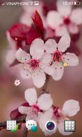 Cherry Blossom Live Wallpaper HD 4K Affiche