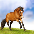 Horse Live Wallpaper HD 4K icône