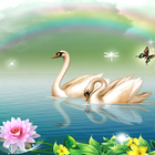 Swan Live Wallpaper HD 4K Cool icono