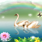 Swan Live Wallpaper HD 4K Cool icon