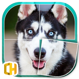 Husky Tile Puzzle