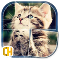 Cats - Tile Puzzles