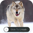 Wolf Slider lock