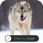 Wolf Slider lock icon