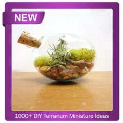 1000+ DIY Terrarium Miniature Ideas