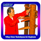Wing Chun Techniques for Beginers icon