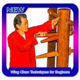 Wing Chun Techniques for Beginers icon