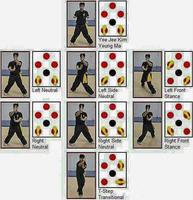 Wing Chun Techniques for Beginers poster