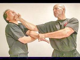 Wing Chun Techniques for Beginers screenshot 2