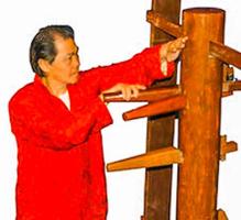 Wing Chun Techniques for Beginers screenshot 3