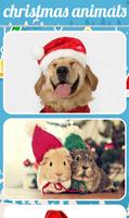 Christmas Animals 海报