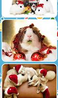 Christmas Animals 截图 1