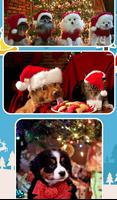 Christmas Animals 截图 2