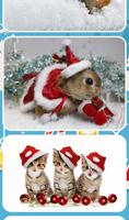 Christmas Animals 截图 3