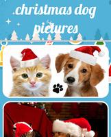 Christmas Dog Pictures Cartaz