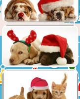 Christmas Dog Pictures imagem de tela 2