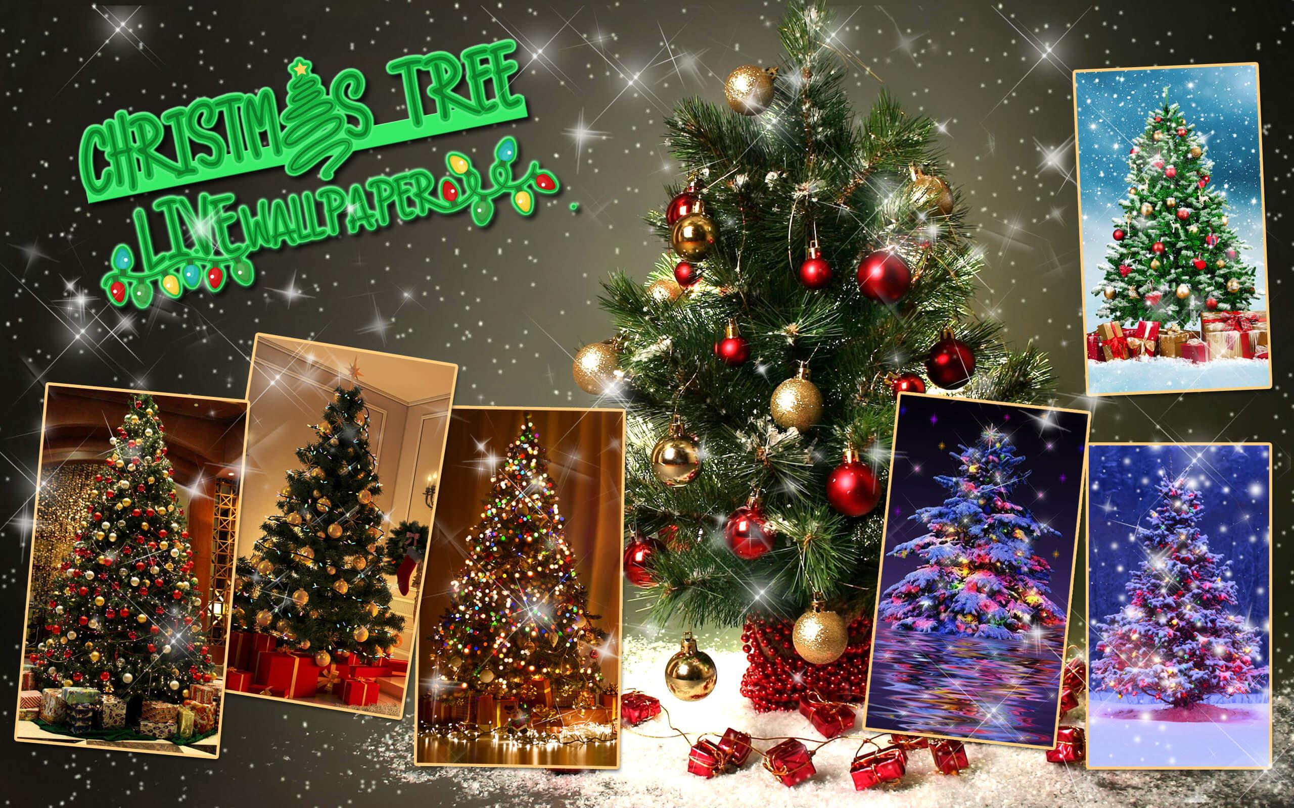 Fond Decran Sapin De Noel Arbre De Noël Pour Android