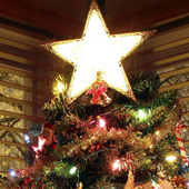 christmas live wallpaper tree icon