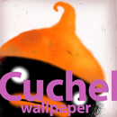 Cuchel Wallpaper aplikacja