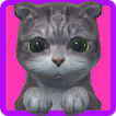 Tickle Kitty