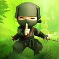 Ninja Vietnam