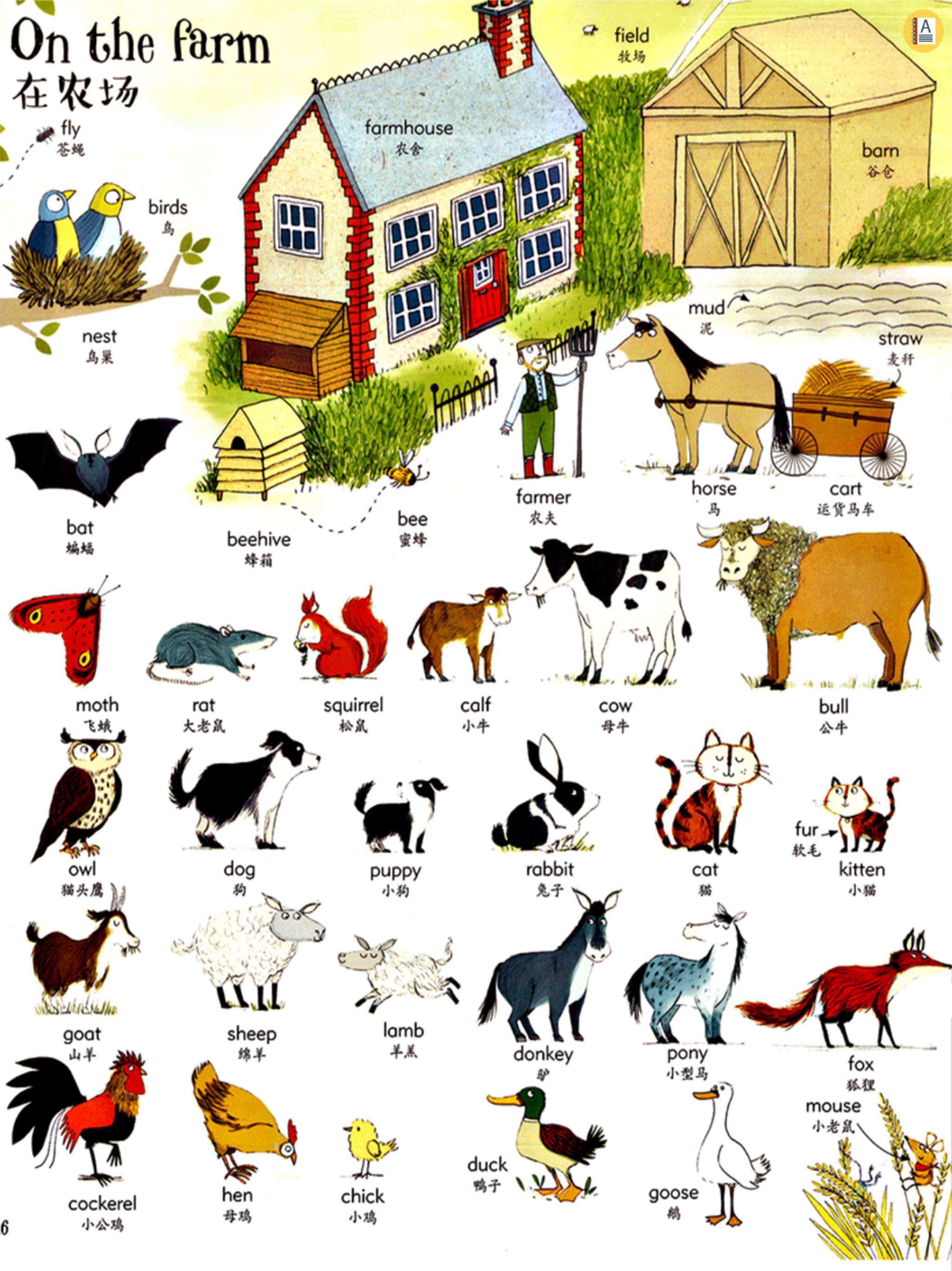 Big English Picture Daily English Words APK for Android Download