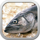 Icona Рецепты из рыбы