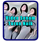 Video Senam Turun Naik Terpopuler 图标