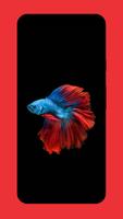 Betta Fish Wallpapers HD & 4K capture d'écran 1