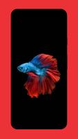 4K Betta Fish Wallpaper स्क्रीनशॉट 1