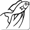 Cichlidenland GmbH