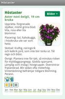 Blomsterlexikon 스크린샷 3